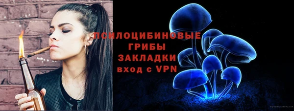 прущий лед Алексин