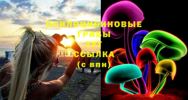 прущий лед Алексин