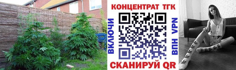 Дистиллят ТГК гашишное масло  Советская Гавань 
